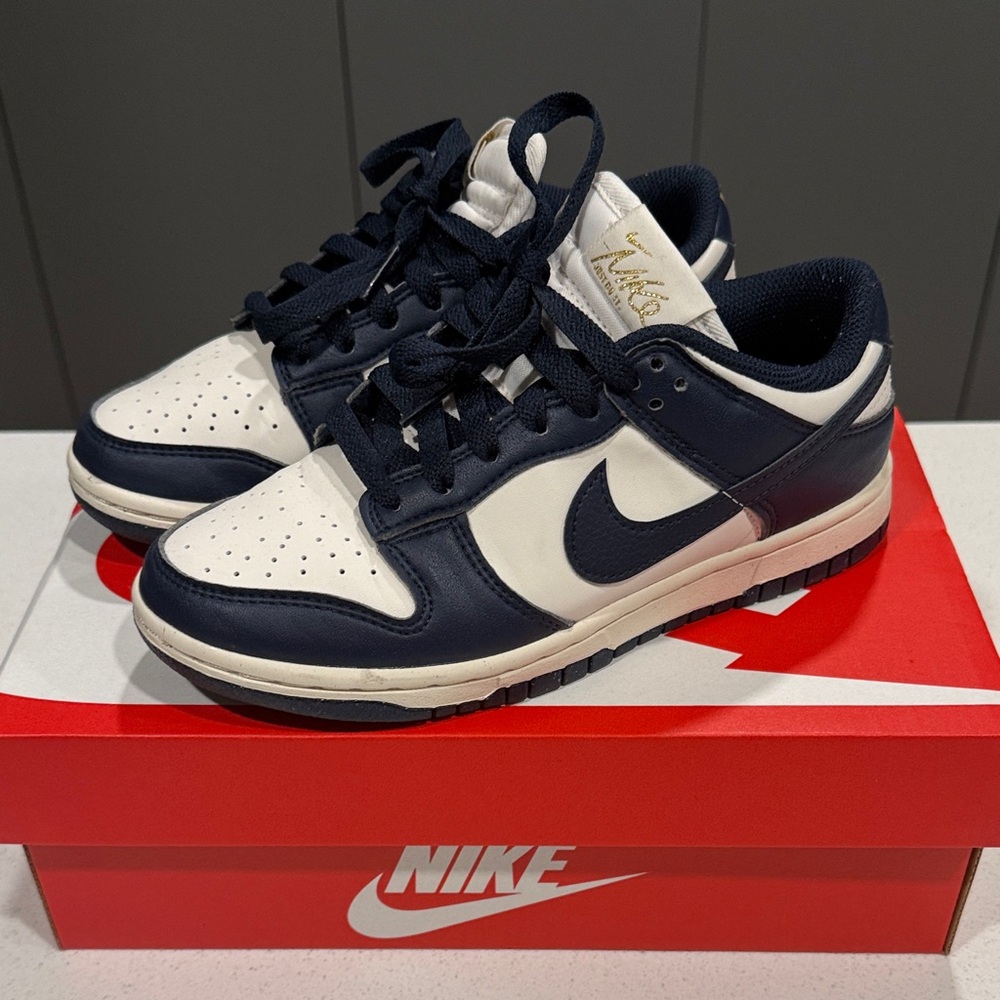 Nike Navy Dunk Low